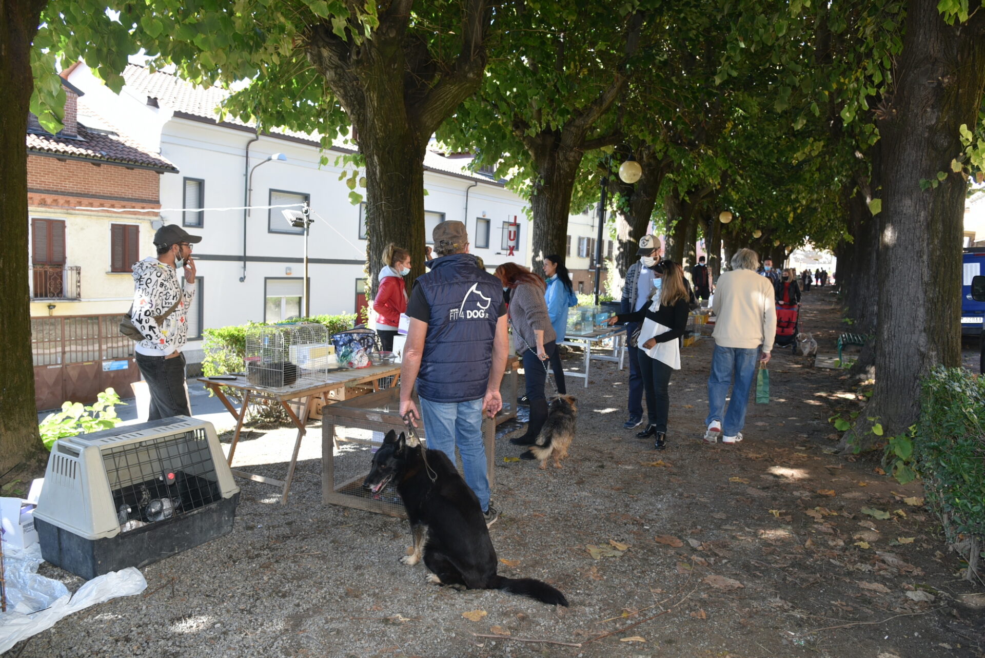 Mostra-mercato dei piccoli animali - disposizioni per gli operatori partecipanti