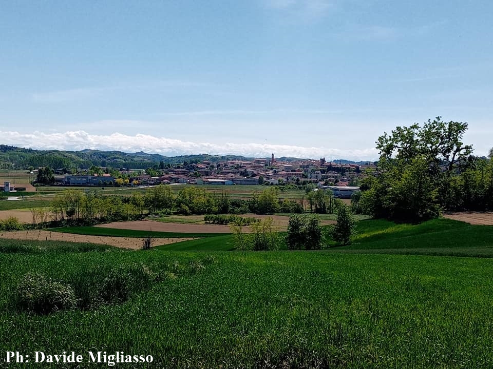 San Damiano d'Asti | “Festa di San Giacomo e San Grato” (ed. 2024)