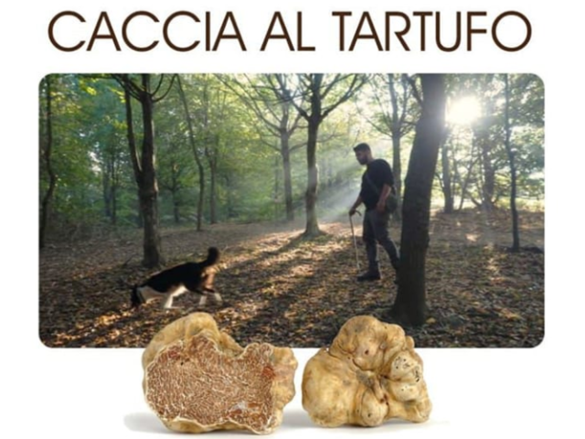 San Damiano d'Asti | Caccia al tartufo: ricerca nel bosco